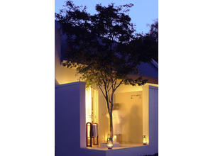 Honeymoon Suite Outdoor shower